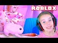 СИМУЛЯТОР ХОМЯКА в ROBLOX веселое ВИДЕО ДЛЯ ДЕТЕЙ про ЖИЗНЬ МОРСКОЙ СВИНКИ