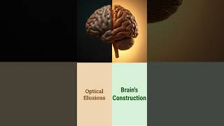 Eyes Wide Open Mind Blowing Facts About Your Vision