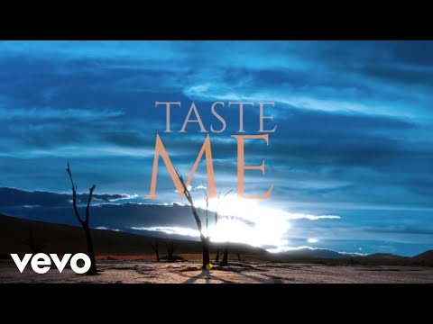 Ann Marie Taste Me LYRIC VIDEO 