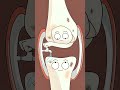 Ever Wondered Why Your Knees Feel Like Water Balloons after Workout 🎈#knee #facts #animated #shorts