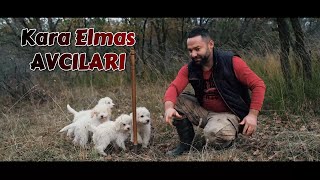 Profesyonel Trüf Mantar Avcilari Onlar Bu İşi̇n Uzmani Üfmantarıavciları