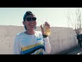 [CHINA Trail run]winter season training of trail runners in Lijiang Yunnan 越野跑运动员们的丽江冬训IchallengeLab