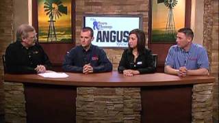 How To Treat Ringworm In Cattle - Sure Champ