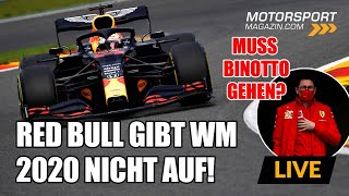 Red Bull gibt die WM 2020 noch nicht auf!