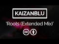 Kaizanblu  roots extended mix