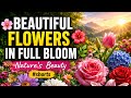 🌸 Beautiful Flowers in Full Bloom 🌺 | Nature's Beauty 🌿 #video