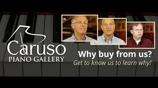 Caruso Piano Gallery: Meet the Team