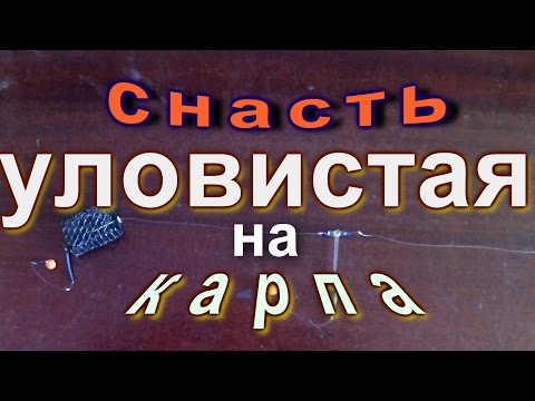 снасти на сазана на реке