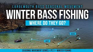 WINTER BASS FISHING - Understanding BASS MOVEMENT in the WINTER ❄️🥶