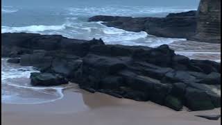 Wellerman Sea Shanty for Harp