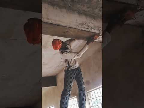 Bim Palastr Kemi Kari Sikibaa 