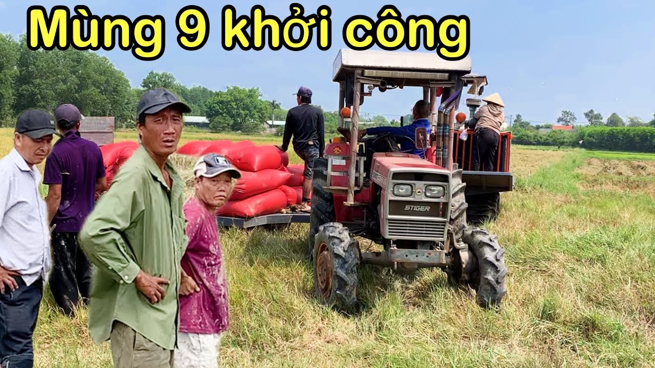 Máy cắt 70 khởi công cắt lúa ở đồng ông hường tỉnh đồng Nai 