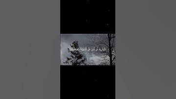 اجر لي ولكـم 💗⛈️#كلير_تحبكم#قران_كريم#اكسبلور#لايك#راحة_نفسية#سورة_القصص#محمد_صديق_المنشاوي