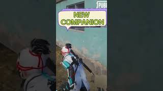 NEW COMPANION IN PUBG, #pubgleaks #pubgcompanion screenshot 5