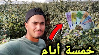 خدمت 5 عند واحد الباطرون.هنا ف ?? هشحال خلصني  ... وهشهال كتجيني فشهر ... الحمد لله 