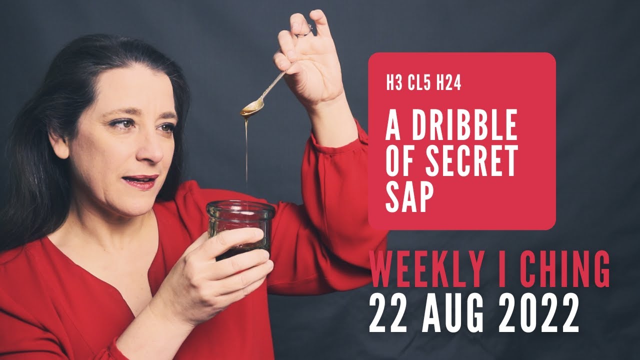 A Dribble of Secret Sap // Weekly I Ching 22-28 Aug 2022 // Hexagram 3 & 24