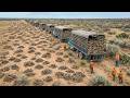 Rattlesnakes Taking Over Texas | What's Really Happening