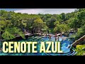 Cenote Azul 🔵 Riviera Maya México Quintana Roo Playa Del Carmen 📍