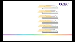 Program Print Function