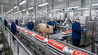 Inside a Toothpaste Factory — From Raw Chemicals to Finished Tubes