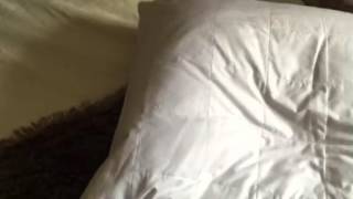 Northern nghts pillow duo - tsv qvc uk 7/4/16 screenshot 5