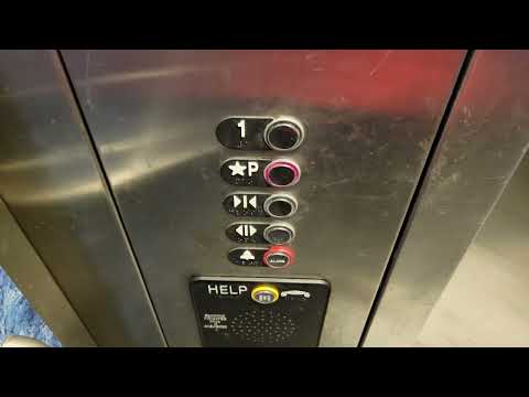 Loews Theater Alderwood 74