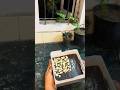 Quick order subscribe for more #tamil #sivakasi #shortvideo #shorts #shortsfeed