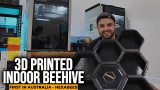 I'm Building Australia's First Giant Indoor 3D Printed BeeHive .. Will It Work?