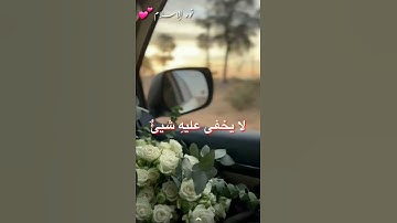 قرآن كريم  حالاتواتس اب دينية تلاوة تريح القلب والروح  القارئ عبد الرحمن