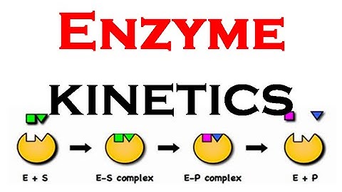 Enzyme kinetics animation