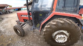 Cıvık Hayvan Gübresinde Yüzdük Ve Temizliyoruz -- Yıkama Yağlama