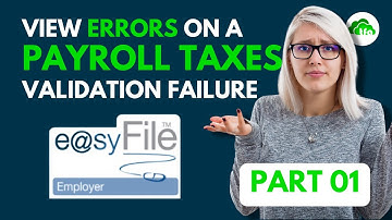 Where to view Errors on a Payroll Taxes Validation Failure