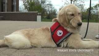 Service Dog-Training Program