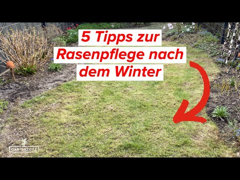 Video: Rasenpflege im Winter: Wie man Gras im Winter pflegt