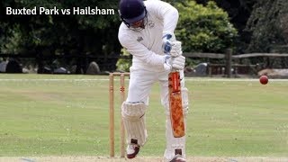 Buxted Park 1st XI vs Hailsham 1st XI