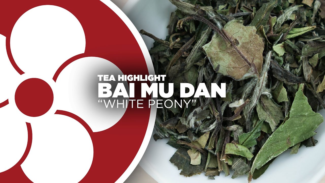 Бай Му Дань (Белый пион)