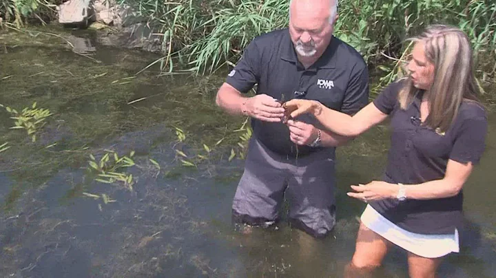 Iowa DNR SHOWS YOU Aquatic Invasive Species lurking in Big Creek | Paid Content