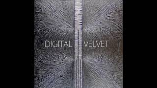 Digital Velvet - Interarticular Ligament of Hip Joint