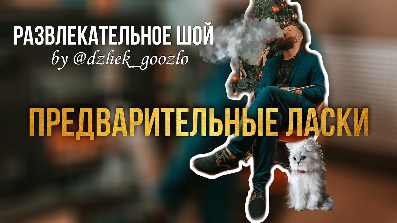 Предварительные ласки в машине