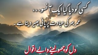 Islamic Heart Touching Quotes |Quotes About Life in Hindi | Best Islamic Quotes Collection | DSVoice