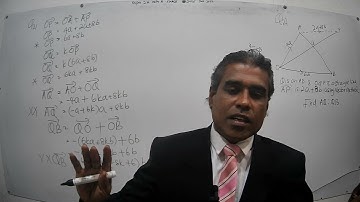 Q21 Paper 2H Mathematics A Edexcel IGCSE June 2022|Vectors|Parallel Vectors on the Same StraightLine