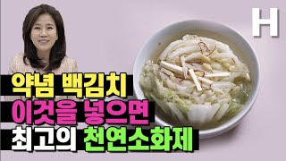 백김치 맛있게 담그는법 삽주뿌리 백출 넣으면 천연소화제