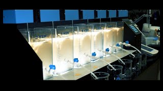 Jar Test Procedure for Water Treatment
