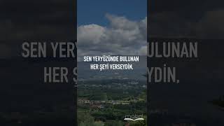 Dağlar, taşlar bile seni sever... - Özcan Yıldırım Hoca