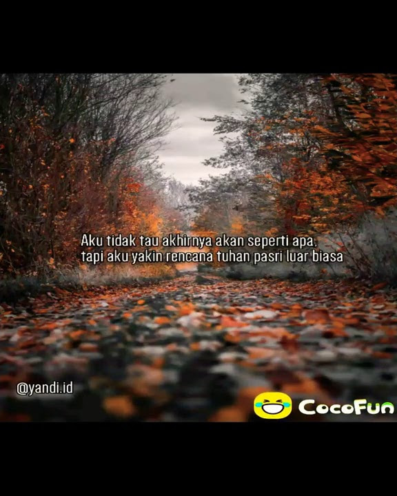 Cocok buat Story'WhatsApp (CocoFun-@yandi.id)