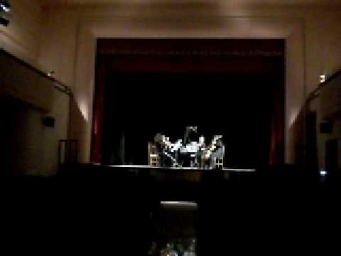 Musiche di Bartok-Schnittke --Accademia dei Cameri...
