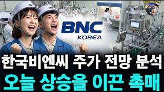 한국비엔씨 주가 전망 분석 오늘 상승을 이끈 촉매 - 배당투자하는 남자