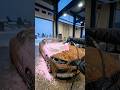 Watch this complete POV transformation of a completely rusted 🔥👇