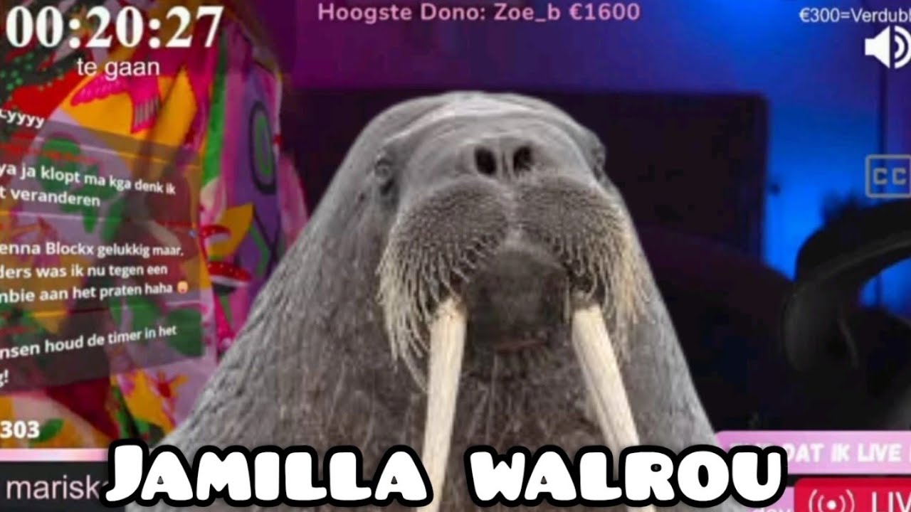 JAMILLA BAIDOU EXPOSED !!!!!!!! 😱😱😱😱