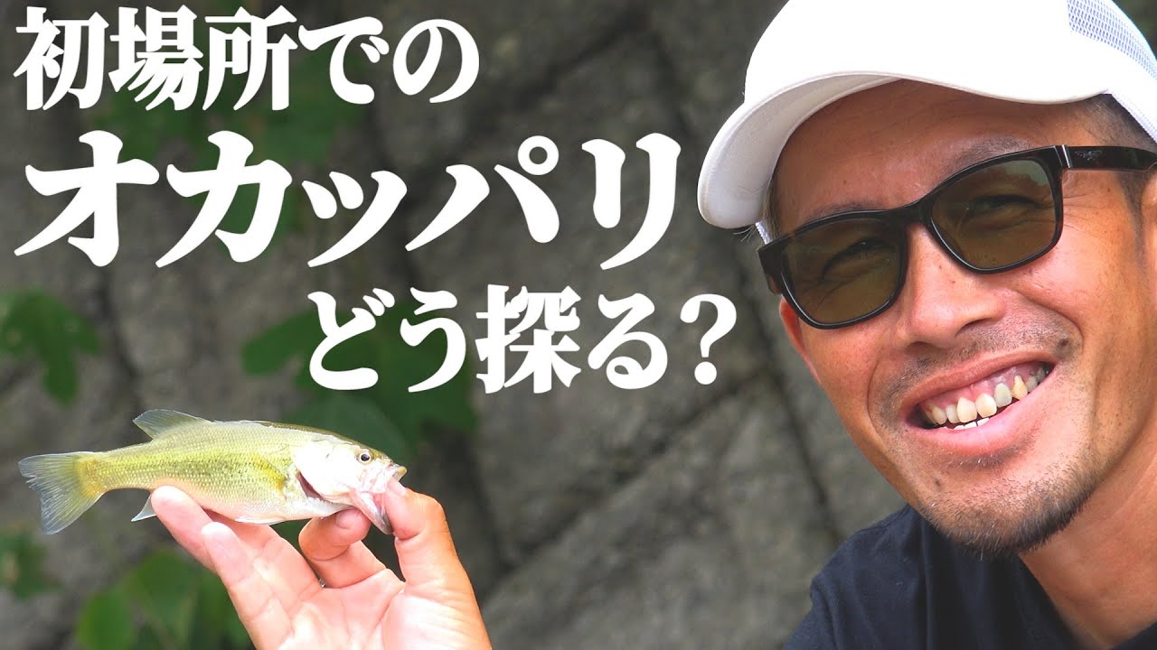 A must-see for bank anglers] How do you catch bass from the bank